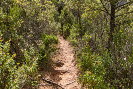 Wanderung Valle de Fango