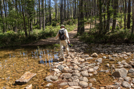 Frosch auf Wanderung zum Wasserfall Piscia de Gallo