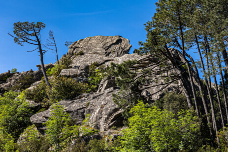 Wanderung zum Wasserfall Piscia de Gallo