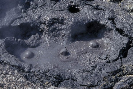 Mudpool im Thermalgebiet Hells Gate in Neuseeland