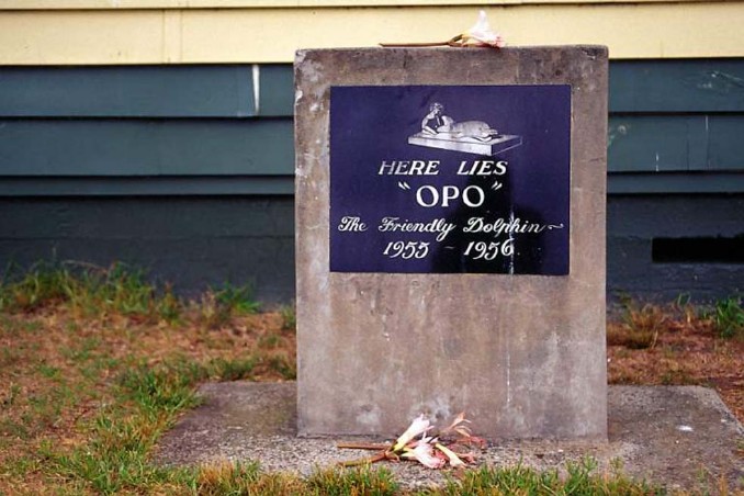 Grab von Opo - der freundliche Delfin